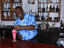El Greco Resort - Hotels And Private Villas In Montego Bay, Jamaica  - Hotels Jamaica - Villas Jamaica, Paradise Vacations Jamaica Ltd, a full service vacation company located in Jamaica that specialize in hotel / accommodation and villa bookings; airport taxi, limousine, charter, and transportation services to and from your hotel; and  sightseeing and cultural tours and excursions throughout the Island of Jamaica - http://www.paradisevacationsjamaica.com; E-mail: paradisevacationsja@yahoo.com