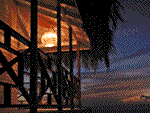 Negril Escape Resort - Paradise Vacations Jamaica Ltd - Taxi and Tours Jamaica - Taxi and Tours Jamaica - Taxi Jamaica, Best Taxi jamaica,Airport Taxi and Tour company jamaica  - http://www.paradisevacationsjamaica.com; E-mail: paradisevacationsja@yahoo.com.