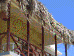 Negril Escape Resort - Paradise Vacations Jamaica Ltd - Taxi and Tours Jamaica - Taxi and Tours Jamaica - Taxi Jamaica, Best Taxi jamaica,Airport Taxi and Tour company jamaica  - http://www.paradisevacationsjamaica.com; E-mail: paradisevacationsja@yahoo.com.