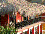 Negril Escape Resort - Paradise Vacations Jamaica Ltd - Taxi and Tours Jamaica - Taxi and Tours Jamaica - Taxi Jamaica, Best Taxi jamaica,Airport Taxi and Tour company jamaica  - http://www.paradisevacationsjamaica.com; E-mail: paradisevacationsja@yahoo.com.