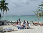 Negril Tree House Resort - Negril, Jamaica  - Hotels Jamaica - Villas Jamaica, Paradise Vacations Jamaica Ltd, a full service vacation company located in Jamaica that specialize in hotel / accommodation and villa bookings; airport taxi, limousine, charter, and transportation services to and from your hotel; and  sightseeing and cultural tours and excursions throughout the Island of Jamaica - http://www.paradisevacationsjamaica.com; E-mail: paradisevacationsja@yahoo.com.