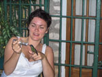 Rocklands Bird Feeding Sanctuary- Paradise Vacations Transport Service Montego Bay, Jamaica - St. James PO # 2, Jamaica West Indies -  http://www.paradisevacationsjamaica.com; E-mail: paradisevacationsja@yahoo.com