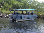 Black River Safari Tour