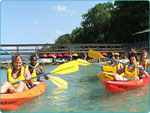 Dolphin Cove Admission and Jungle Trail - Paradise Vacations Transport Service Montego Bay, Jamaica - St. James PO # 2, Jamaica West Indies -  http://www.paradisevacationsjamaica.com; E-mail: paradisevacationsja@yahoo.com