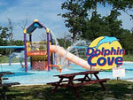 Dolphin Cove Admission and Jungle Trail - Paradise Vacations Transport Service Montego Bay, Jamaica - St. James PO # 2, Jamaica West Indies -  http://www.paradisevacationsjamaica.com; E-mail: paradisevacationsja@yahoo.com