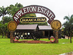 Appleton Estate Rum Tour- Paradise Vacations Transport Service Montego Bay, Jamaica - St. James PO # 2, Jamaica West Indies -  http://www.paradisevacationsjamaica.com; E-mail: paradisevacationsja@yahoo.com