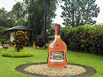 Appleton Estate Rum Tour- Paradise Vacations Transport Service Montego Bay, Jamaica - St. James PO # 2, Jamaica West Indies -  http://www.paradisevacationsjamaica.com; E-mail: paradisevacationsja@yahoo.com