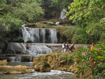 Black River Safari & YS Falls - Tours From Negril, Jamaica - Paradise Vacations Transport Service Montego Bay, Jamaica - St. James PO # 2, Jamaica West Indies -  http://www.paradisevacationsjamaica.com; E-mail: paradisevacationsja@yahoo.com