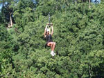 Canopy Tours and Zipline Adventures - Paradise Vacations Jamaica Ltd, a full service vacation company located in Jamaica that specialize in hotel / accommodation and villa bookings; airport taxi, limousine, charter, and transportation services to and from your hotel; and  sightseeing and cultural tours and excursions throughout the Island of Jamaica - http://www.paradisevacationsjamaica.com; E-mail: paradisevacationsja@yahoo.com..