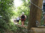 Canopy Tours and Zipline Adventures - Paradise Vacations Jamaica Ltd, a full service vacation company located in Jamaica that specialize in hotel / accommodation and villa bookings; airport taxi, limousine, charter, and transportation services to and from your hotel; and  sightseeing and cultural tours and excursions throughout the Island of Jamaica - http://www.paradisevacationsjamaica.com; E-mail: paradisevacationsja@yahoo.com..