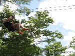 Canopy Tours and Zipline Adventures - Paradise Vacations Jamaica Ltd, a full service vacation company located in Jamaica that specialize in hotel / accommodation and villa bookings; airport taxi, limousine, charter, and transportation services to and from your hotel; and  sightseeing and cultural tours and excursions throughout the Island of Jamaica - http://www.paradisevacationsjamaica.com; E-mail: paradisevacationsja@yahoo.com..