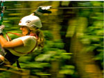 Bobsled Canopy tours and Zipline -  Paradise Vacations Jamaica Ltd, a full service vacation company located in Jamaica that specialize in hotel / accommodation and villa bookings; airport taxi, limousine, charter, and transportation services to and from your hotel; and  sightseeing and cultural tours and excursions throughout the Island of Jamaica - http://www.paradisevacationsjamaica.com; E-mail: paradisevacationsja@yahoo.com..