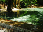 Bobsled Canopy tours and Zipline -  Paradise Vacations Jamaica Ltd, a full service vacation company located in Jamaica that specialize in hotel / accommodation and villa bookings; airport taxi, limousine, charter, and transportation services to and from your hotel; and  sightseeing and cultural tours and excursions throughout the Island of Jamaica - http://www.paradisevacationsjamaica.com; E-mail: paradisevacationsja@yahoo.com..